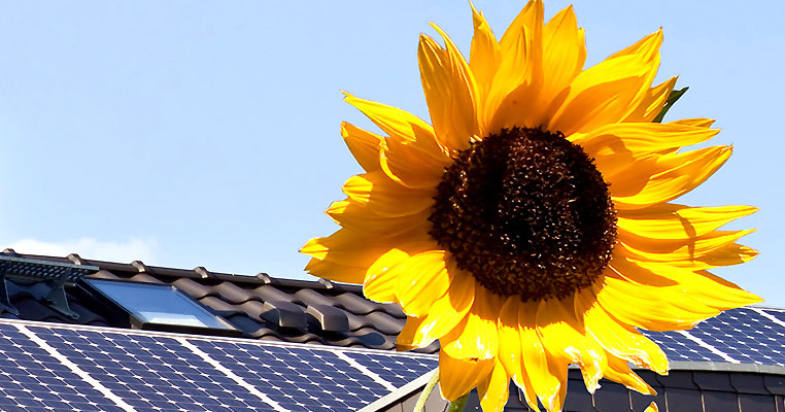 Co wchodzi w skład instalacji fotowoltaicznej?